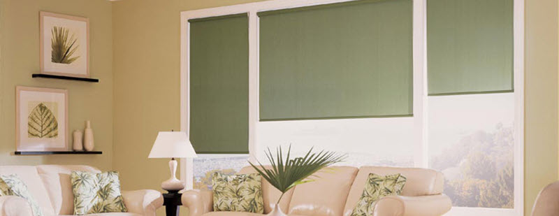 Galleries/Roller Shades Custom Window Treatments Howell